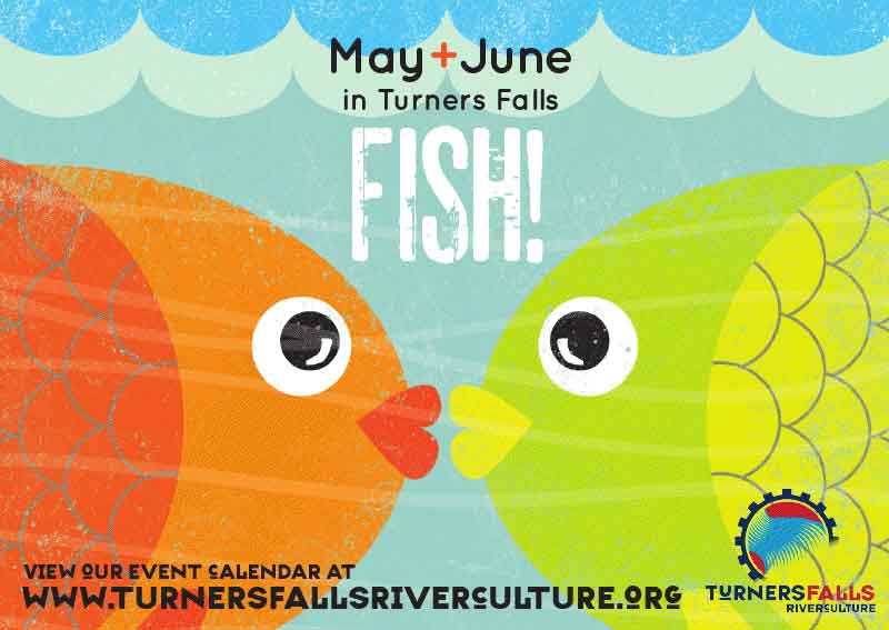 Fish themed months in turners Falls! Illustration and design by Peter Chilton. http://www.turnersfallsriverculture.org/2010/05/1/1636-May-June-Fish-/